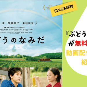 NHK大河ドラマ『龍馬伝』が1話から全部見れる動画配信サイトはU-NEXT！【31日間無料トライアル実施中！】